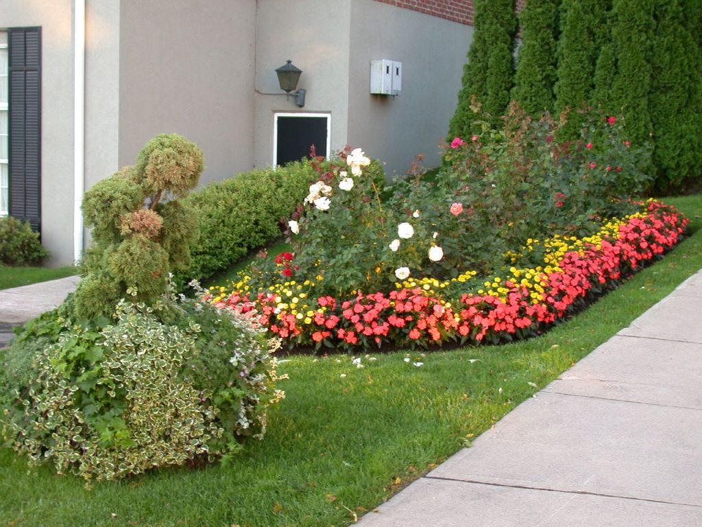 A neat front garden with clipped shrubs, red and yellow flower beds and a curved path beside a grey house